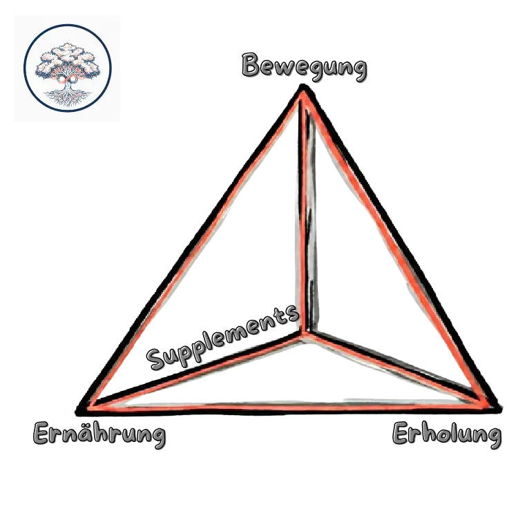Säulen der Langlebigkeit